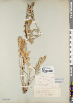 LE 00054774