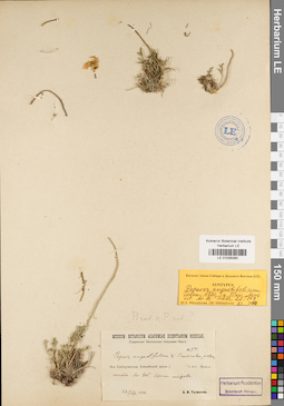 LE 01035080