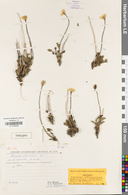 LE 01035092