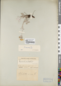 LE 00054803