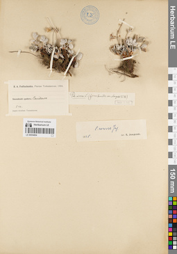 LE 00054804
