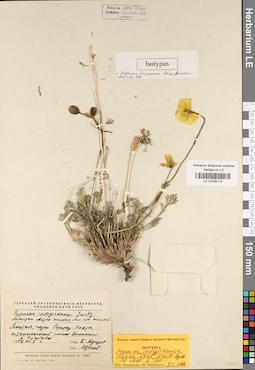 LE 01035113