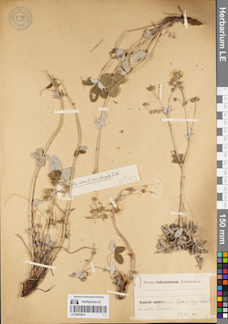 LE 00054814