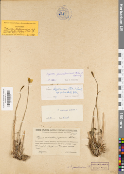 LE 01035127