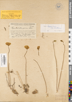 LE 01035128