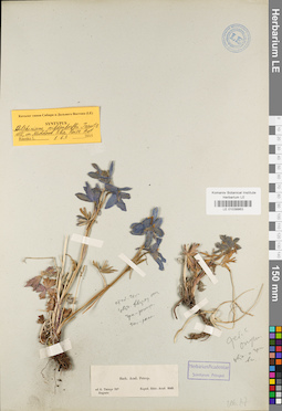 LE 01038863