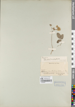 LE 00054832