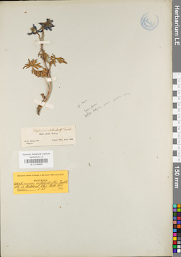 LE 01038865