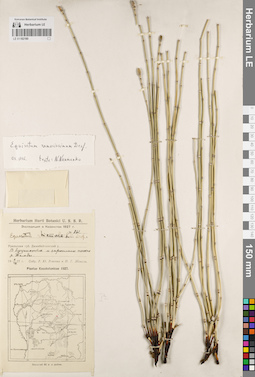 LE 01182180