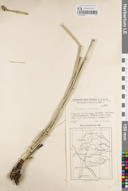 LE 01182187