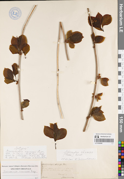LE 01082468