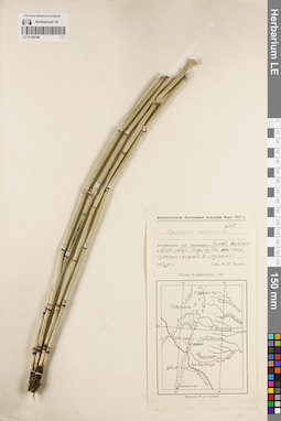 LE 01182188