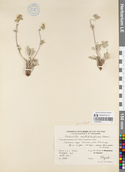 LE 00054847