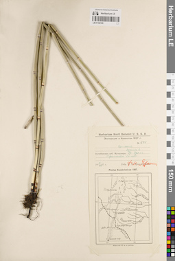 LE 01182189