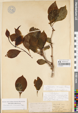 LE 01082470