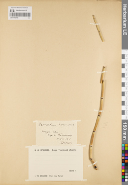 LE 01182192