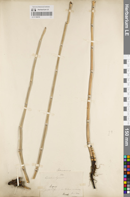 LE 01182216
