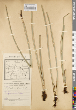 LE 01182224