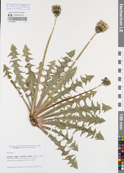 LE 01086820