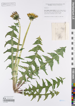 LE 01149342