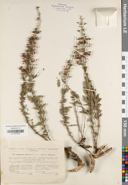 LE 01027330