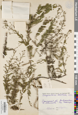 LE 01027334
