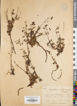 LE 01027342