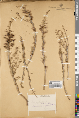 LE 01053732