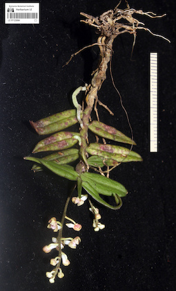 LE 01123084