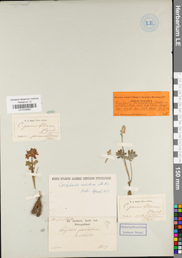 LE 01034827
