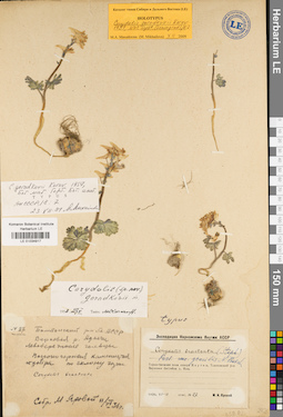 LE 01034917