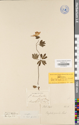 LE 01034919
