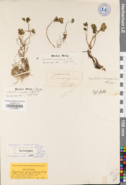 LE 01034921