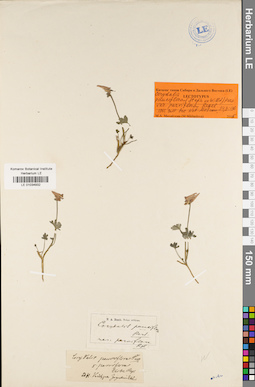 LE 01034932