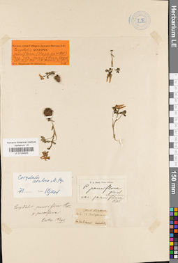 LE 01034933