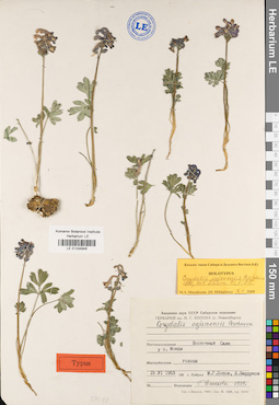 LE 01034946