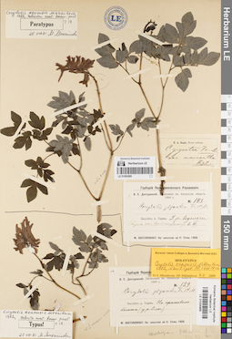 LE 01034966