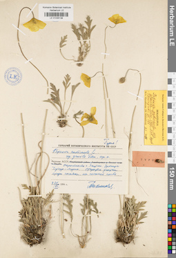 LE 01035138