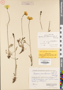 LE 01035147