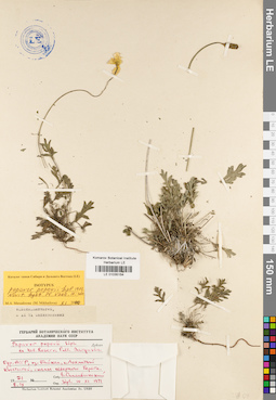 LE 01035154
