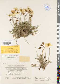 LE 01035158