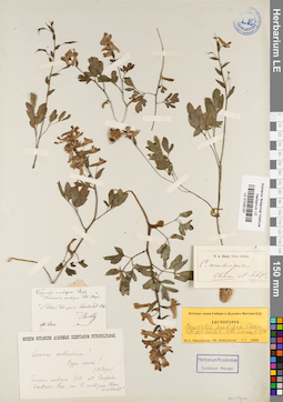 LE 01035187