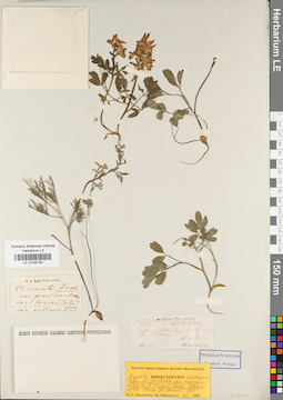 LE 01035192