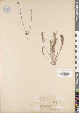 LE 01036877
