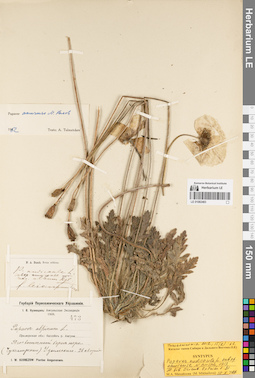 LE 01082483
