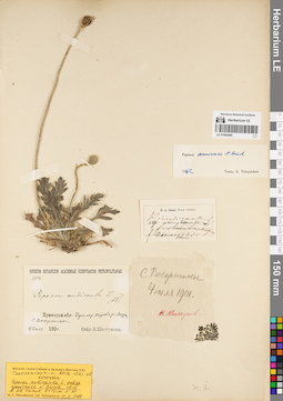 LE 01082485