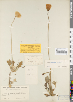 LE 01082490