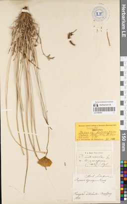 LE 01082491