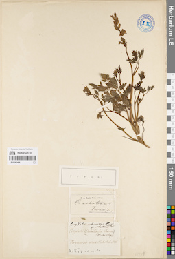 LE 01082496