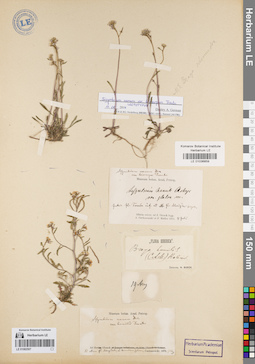 LE 01082507